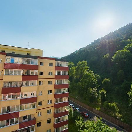 Luna Apartment Braşov Exterior foto