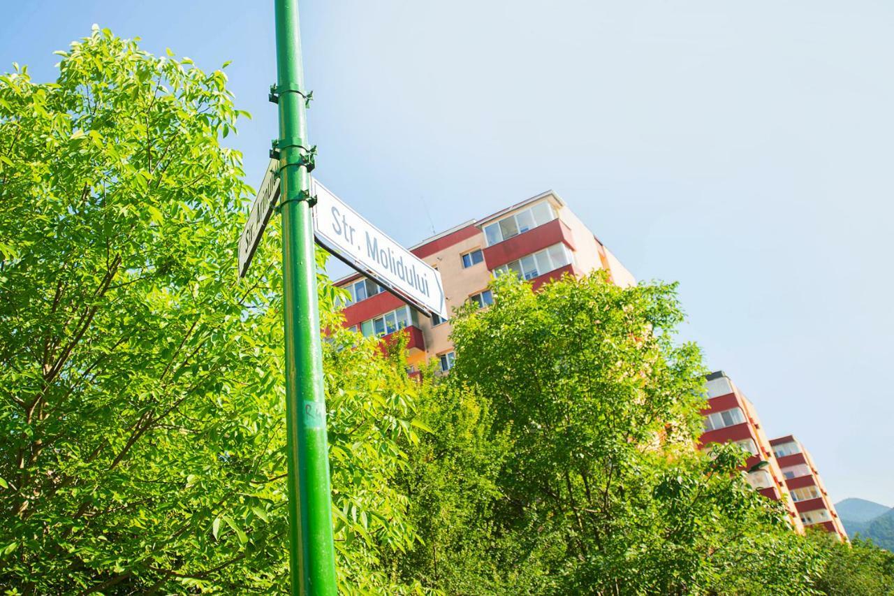 Luna Apartment Braşov Exterior foto
